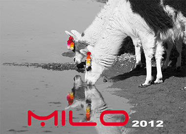 MILO cover catalog 2012